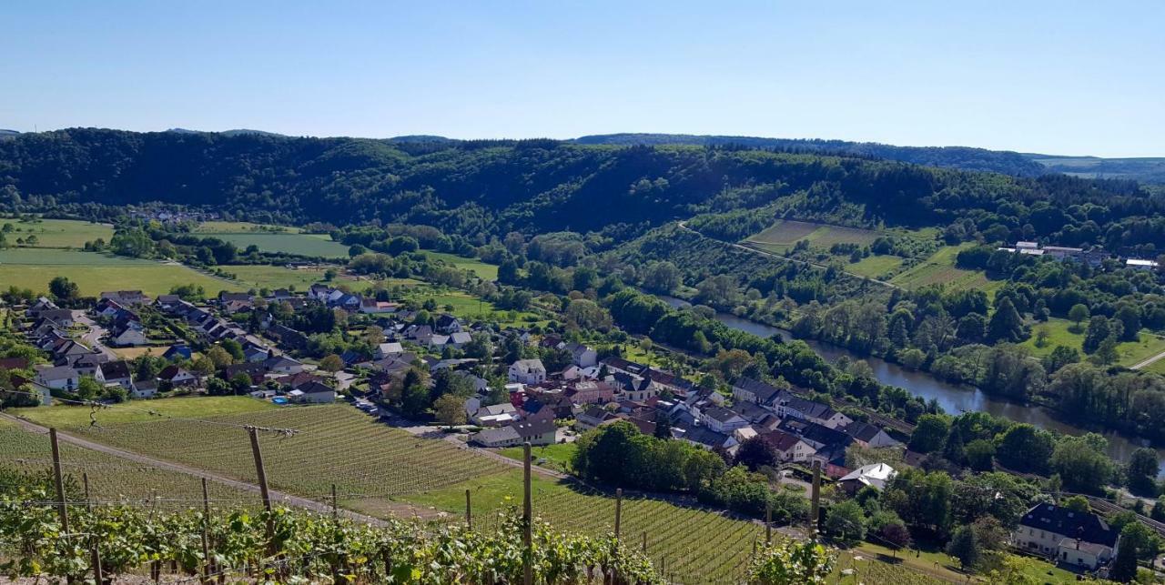 Zur Alten Rebe Ferienhaus Und Weingut Konz Zewnętrze zdjęcie