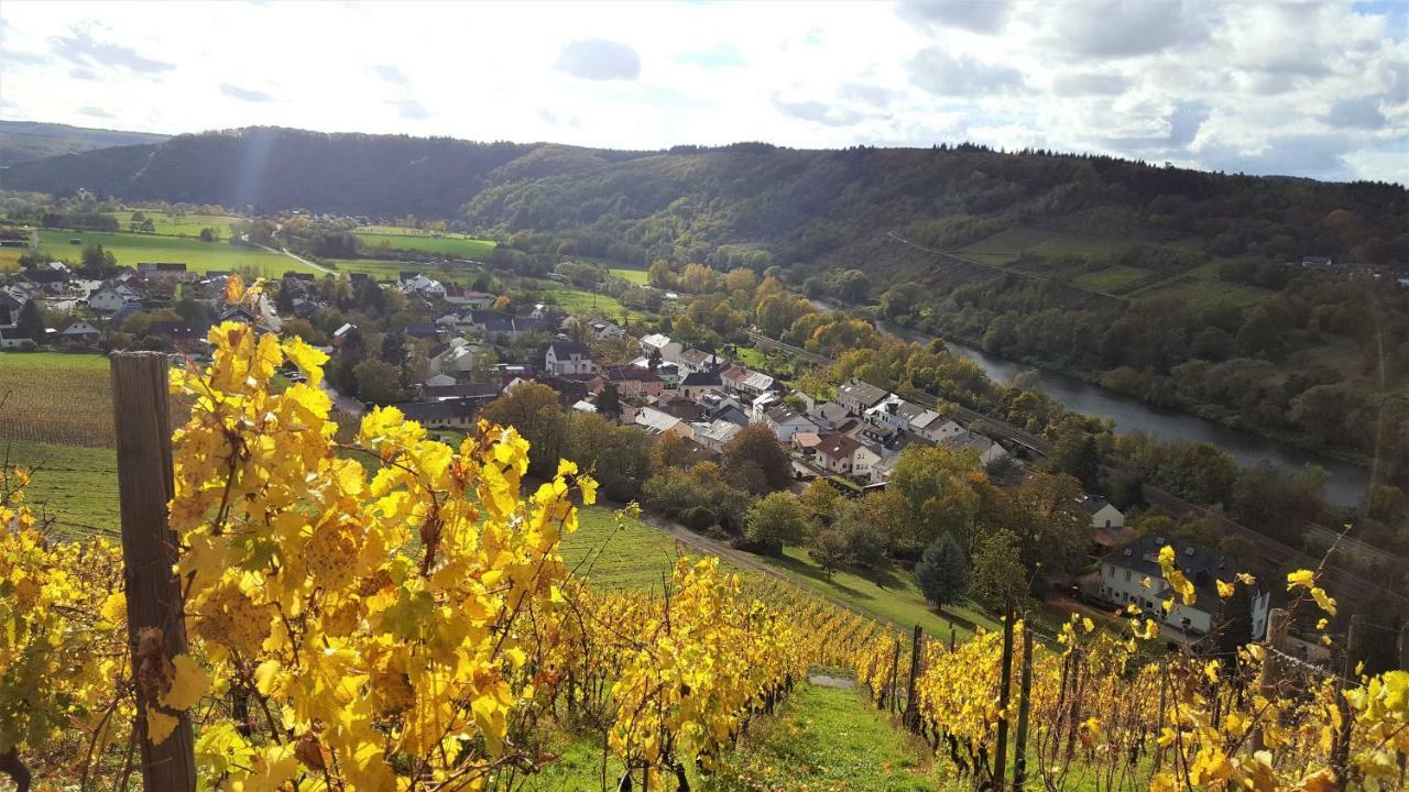 Zur Alten Rebe Ferienhaus Und Weingut Konz Zewnętrze zdjęcie