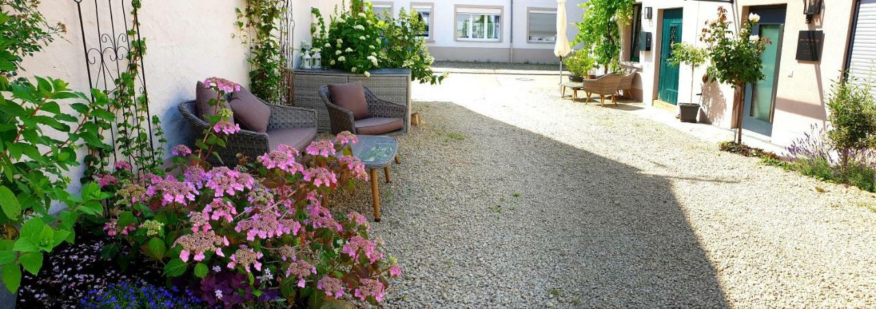 Zur Alten Rebe Ferienhaus Und Weingut Konz Zewnętrze zdjęcie