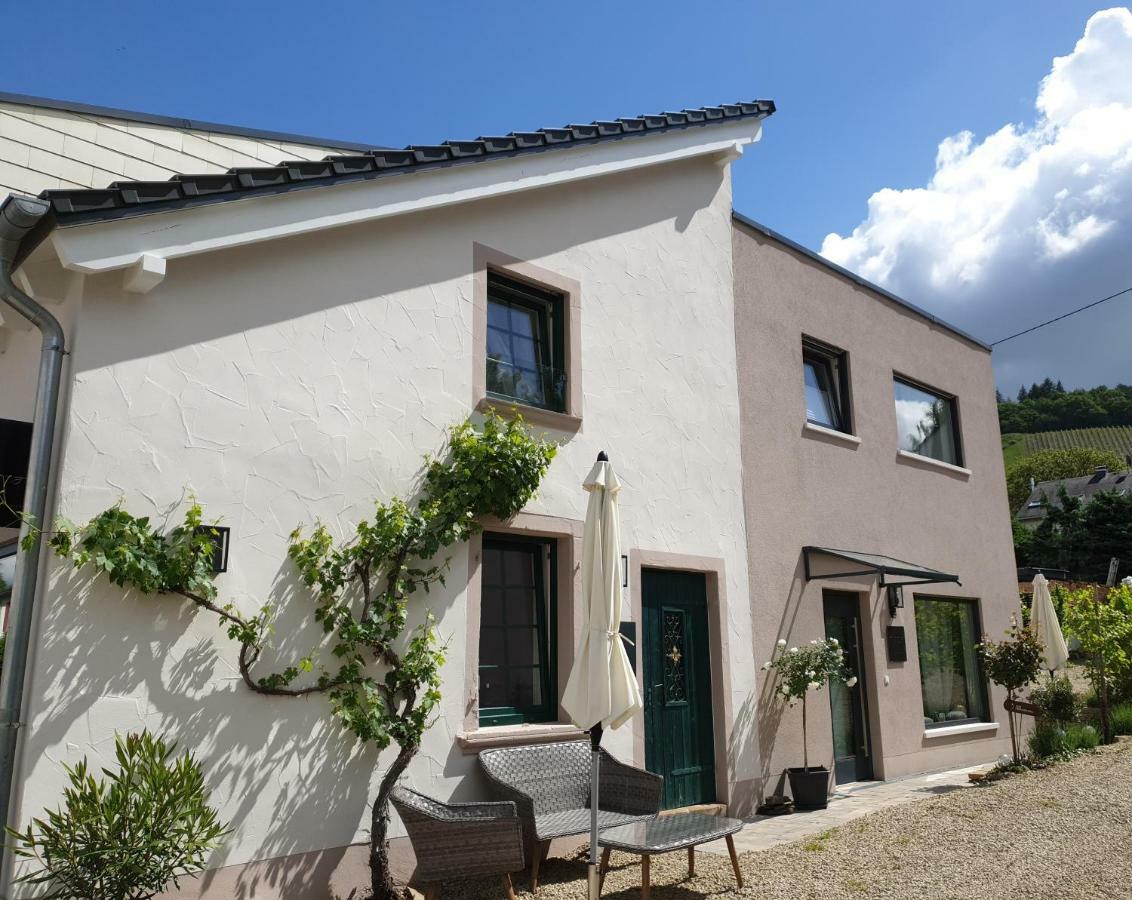 Zur Alten Rebe Ferienhaus Und Weingut Konz Zewnętrze zdjęcie