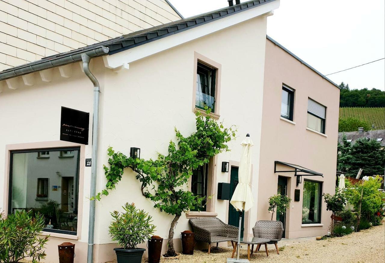 Zur Alten Rebe Ferienhaus Und Weingut Konz Zewnętrze zdjęcie
