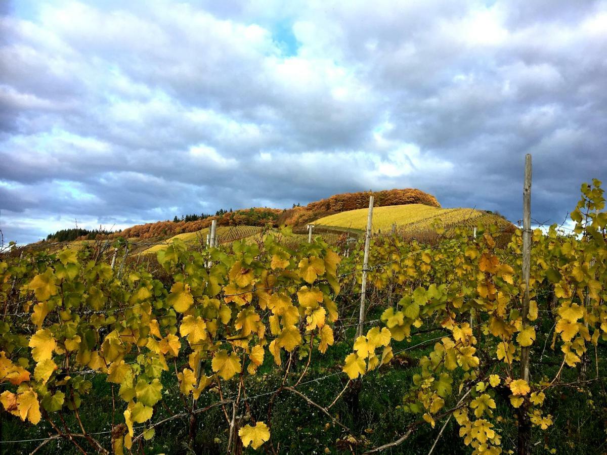 Zur Alten Rebe Ferienhaus Und Weingut Konz Zewnętrze zdjęcie